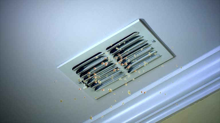 Best Home Air Vent Cleaning  in Vicksburg, MI